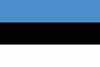 estonia-flag-square-medium